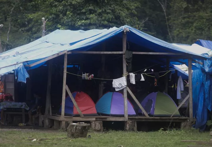 Un campamento en medio de un operativo este sábado en plena selva del Darién, frontera natural entre Colombia y Panamá. Foto: EFE