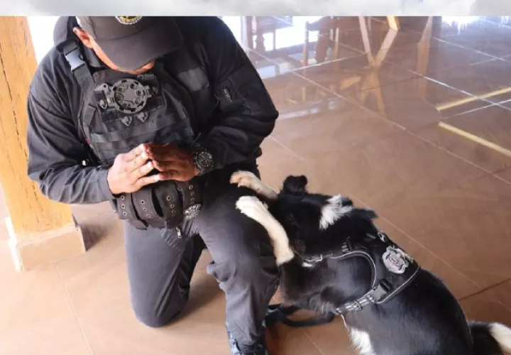 El policía guía tiene la opción de adoptar al perro cuando termina su servicio. Cortesía