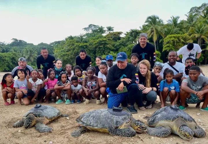 Saboga ha sido un sitio crucial para la reproducción de cuatro especies de tortugas marinas. Foto: EFE