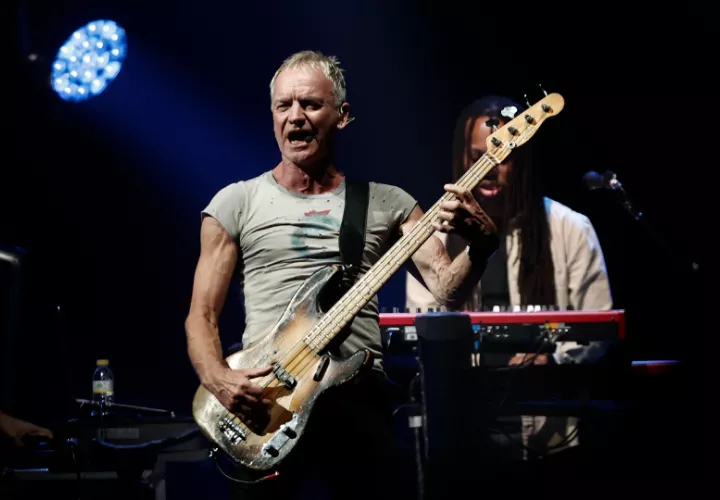 El artista británico Sting. Foto: EFE / Jesús Diges