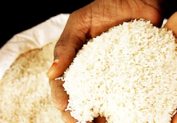 Proyectan un proceso de producción y comercialización más efectivo.