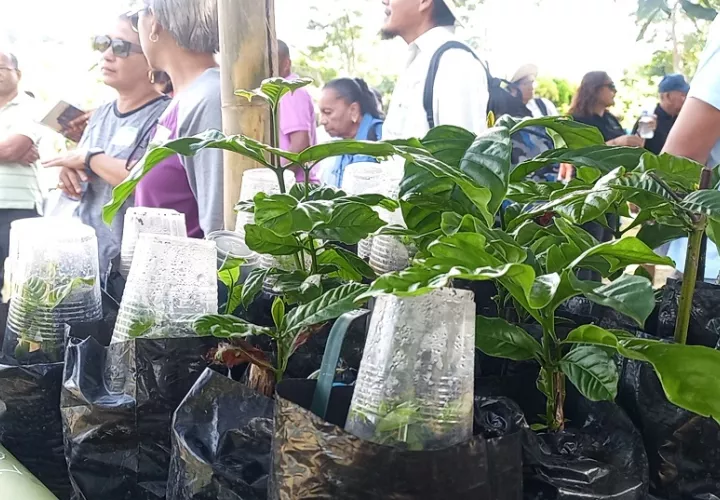 El proyecto fue puesto en marcha por el MIDA, en la provincia de Panamá Oeste.Foto: Eric A. Montenegro.