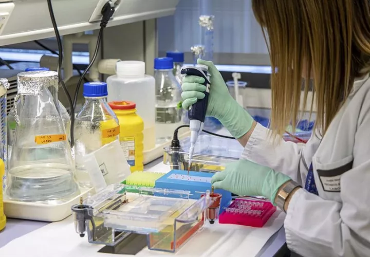 El modelo lo publica este miércoles la revista científica The Lancet. Foto: EFE