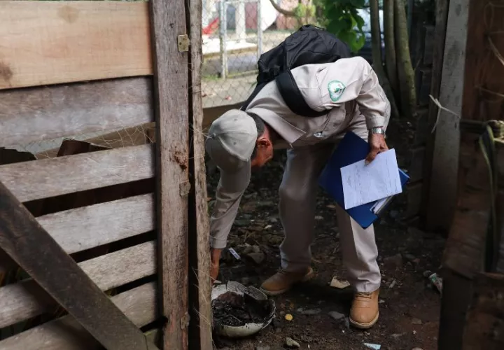 Las autoridades reiteran la importancia de eliminar los criaderos de mosquitos. Foto: Cortesía