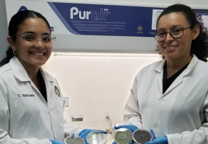 Carolina Guevara, técnico de laboratorio y la Dra. en biociencia, Gesabel Navarro, participaron en la investigación. Fanny Arias