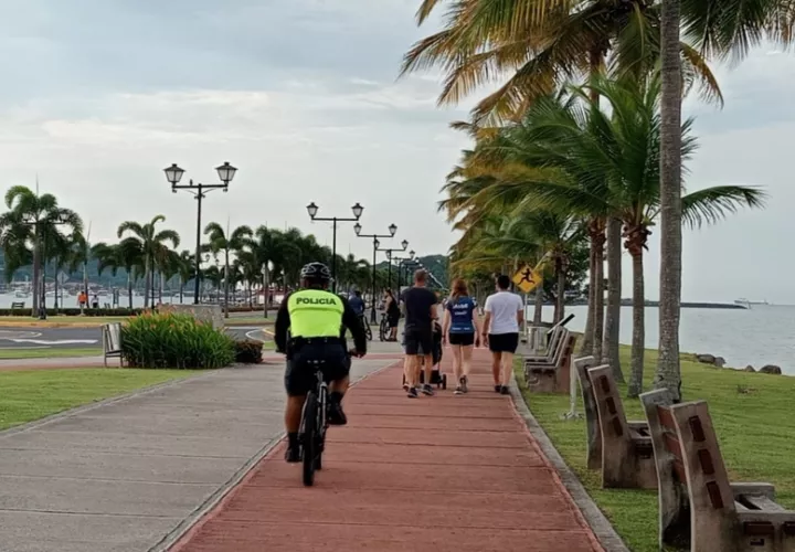 Estamentos de seguridad tratan de ganantizar un país seguro. Foto: Cortesía