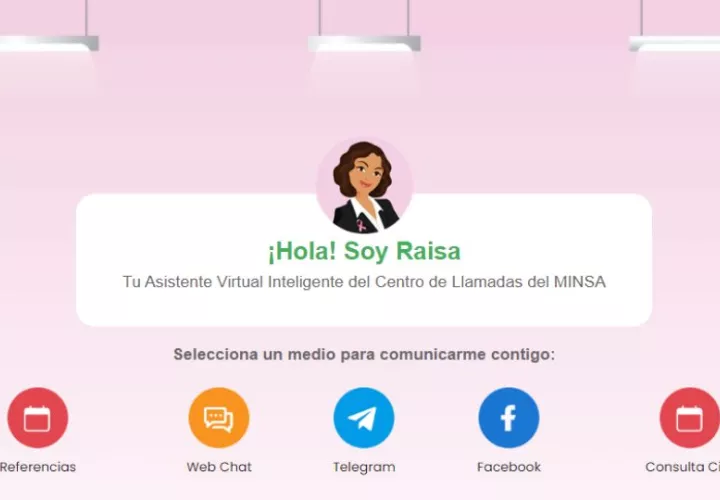 Portal RAISA.