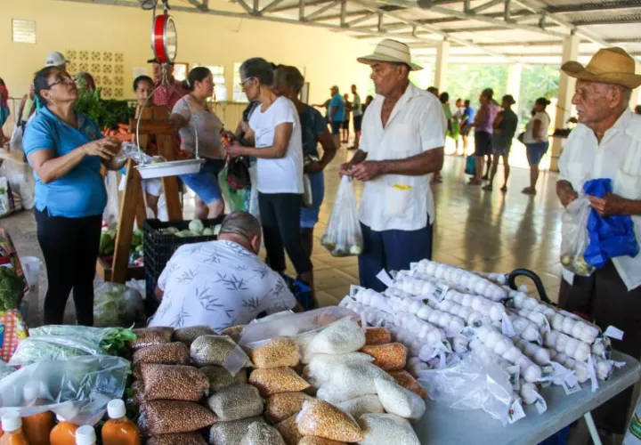 En las agroferias se venden productos a precios accesibles. Foto: Cortesía