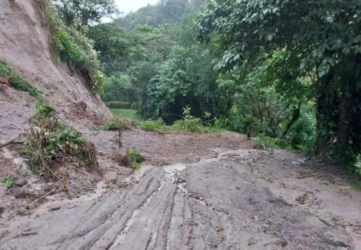 Varias vías sufrieron afectaciones. Foto: Cortesía