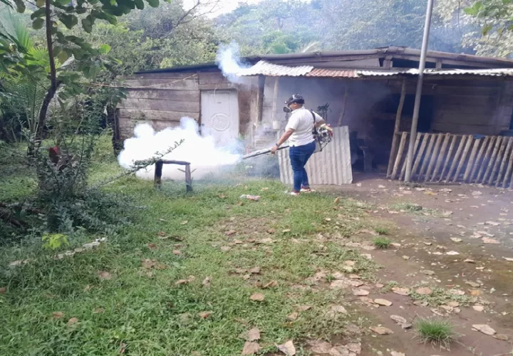 Las autoridades buscan evitar la formación de criaderos producto de la cantidad de agua que ha caído y el estancamiento de esta en vasijas, envases o cualquier material que permita almacenamiento. Foto. Cortesía Minsa