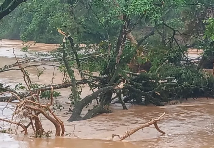 La provincia de Veraguas ha sido una de las más afectadas por las crecidas de ríos y deslizamientos. Foto: Melquiades Vásquez.