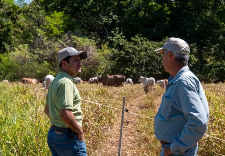 Mejorar la productividad sin comprometer el medio ambiente. Foto: Cortesía/FAO