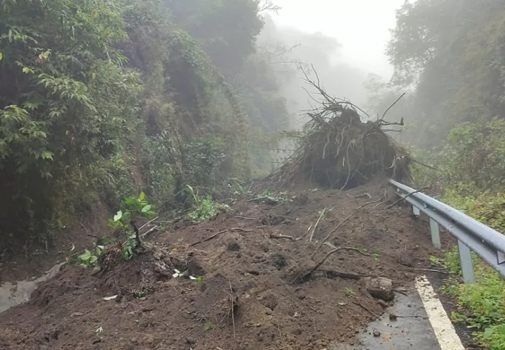 Las lluvias han ocasionado deslizamientos de tierra. Foto: Cortesía