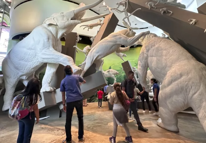Diversos museos abrieron sus puertas a niños y estudiantes para que entraran en contacto con el arte, la historia y la riqueza cultural del país. EFE