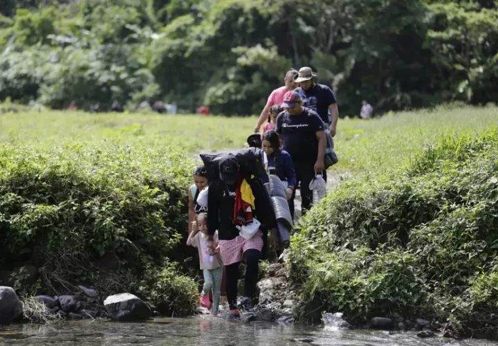 Los migrantes enfrentan serios peligros al cruzar la selva del Darién. Foto: CSS