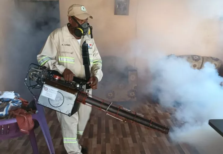Las nebulizaciones solo eliminan al mosquito adulto. Foto: Cortesía