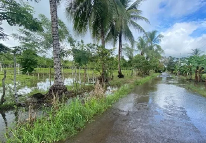 Las lluvias han afectado las zonas productivas del país. Foto: Cortesía