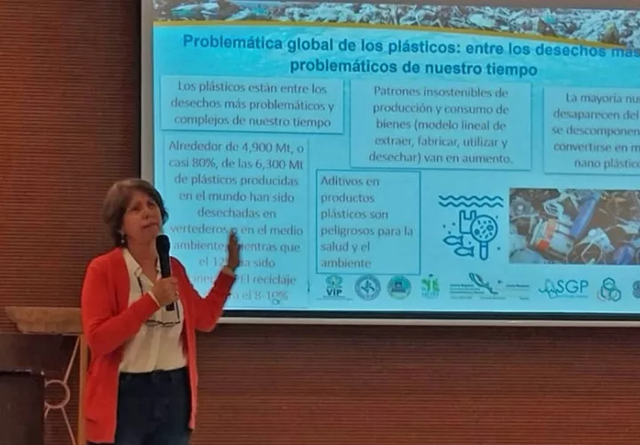 Los desechos  plásticos son una problemática que debe atenderse. Foto: Cortesía 