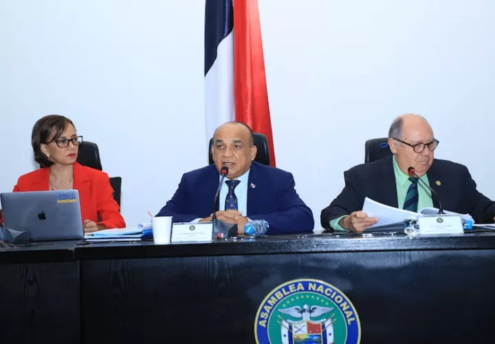 Comisión de Salud de la Asamblea Nacional. Foto: EFE
