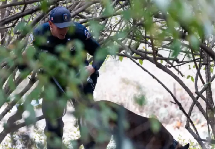 Miembros del equipo de buceo del departamento de Policía de Nueva York buscan al sospechoso en un lago en Central Park, horas antes de su detención. Foto:  EFE/EPA/Justin Lane 