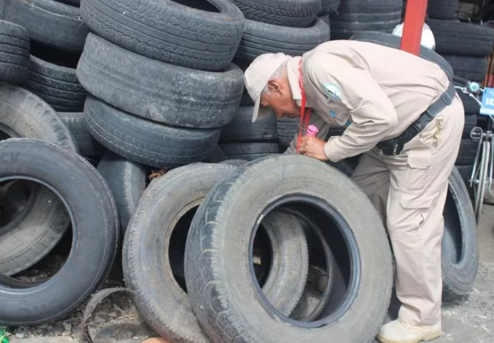 Operativos para reducir los casos de dengue. Foto: Cortesía