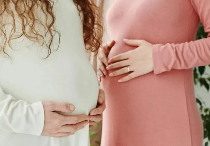 Aplafa reportó el caso de una joven de 19 años que ya tiene 9 hijos. Foto: Pexels