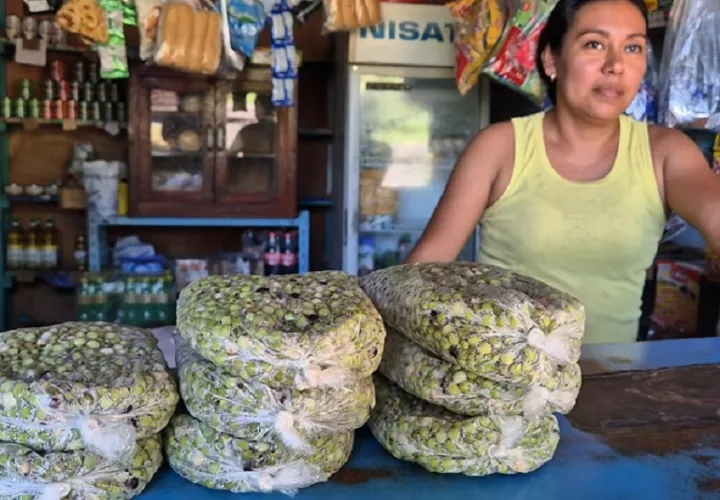  El guandú no sólo tiene un papel fundamental en la gastronomía panameña. Foto: Thays Domínguez.