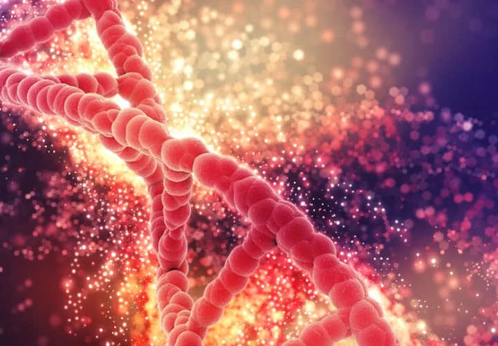 Los datos genómicos a gran escala tiene el potencial de predecir predisposiciones genéticas a ciertas enfermedad. Foto: Ilustrativa / Freepik
