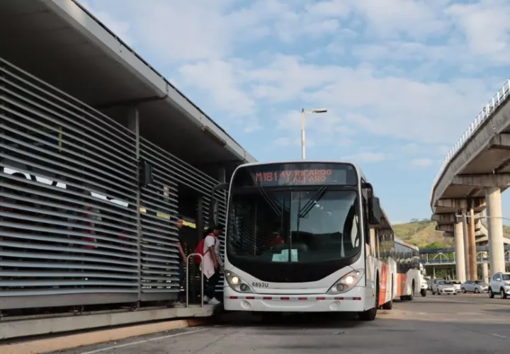 Son 310 buses más de lo que se tenía anteriormente. Foto: Cortesía