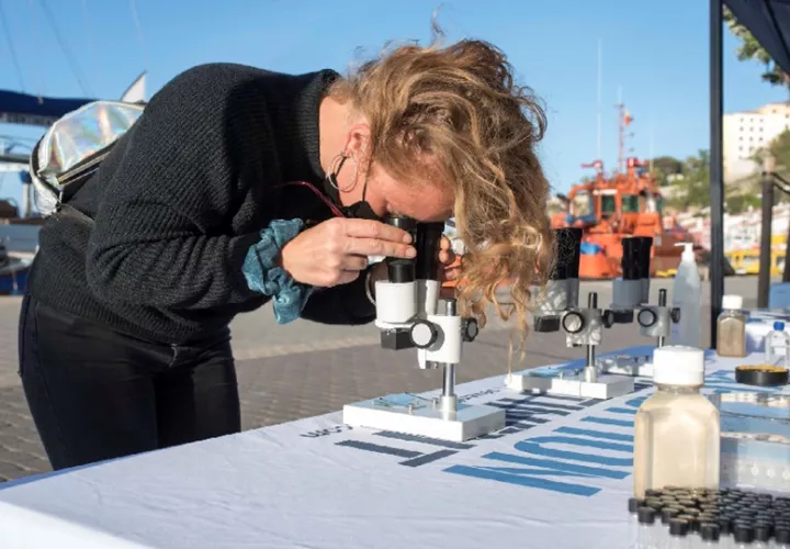 Los microplásticos miden menos de 5 milímetros. Foto: EFE