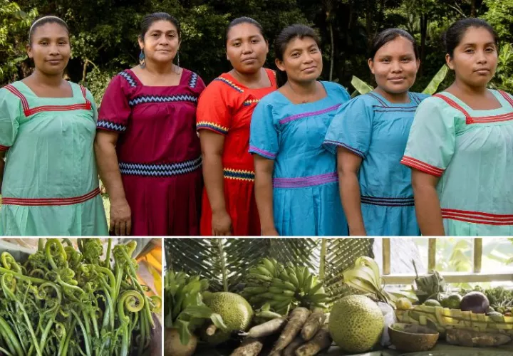 El proyecto se desarrolla con 15 mujeres indígenas de la comunidad de Río Caña. Foto: Cortesía