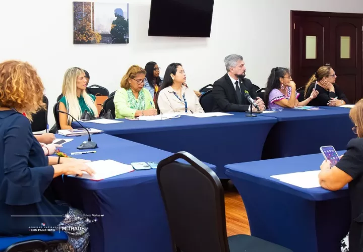 Un comité intersectorial se dedica a emprender acciones contra el trabajo infantil. Foto: Cortesía Mitradel