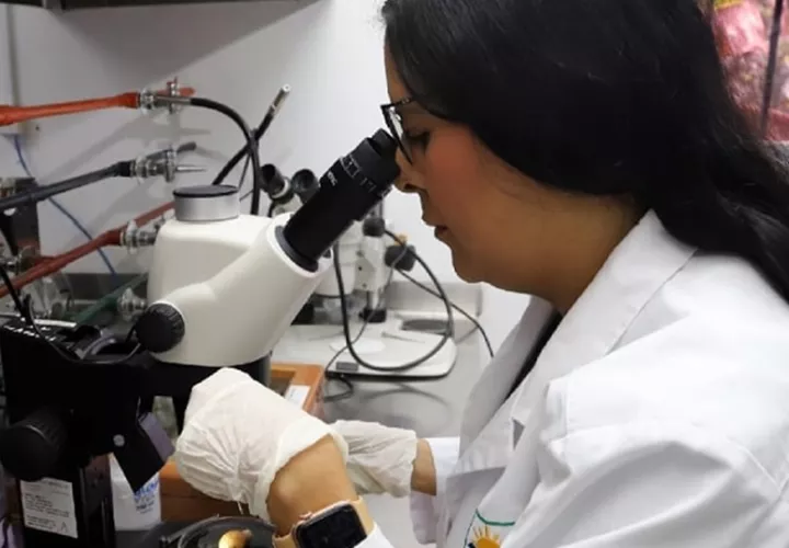En el trabajo en laboratorio se aborda la detección de toda clase de patógenos y residuos.