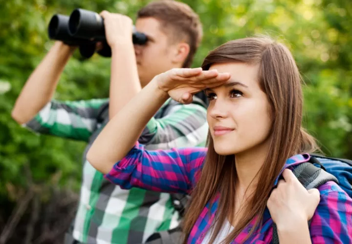 Gira guiada para identificar las aves que viven y visitan Amador. Foto: Ilustrativa / Freepik
