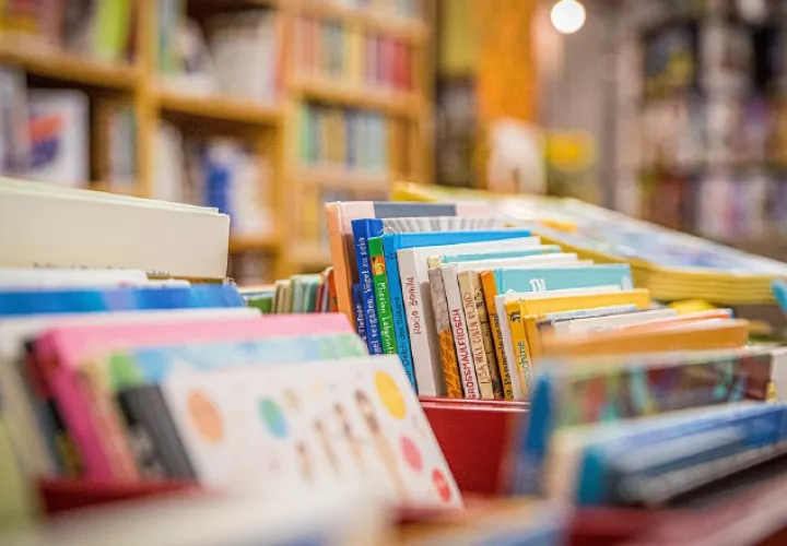 MiCultura administra 41 bibliotecas. Foto: Pixabay