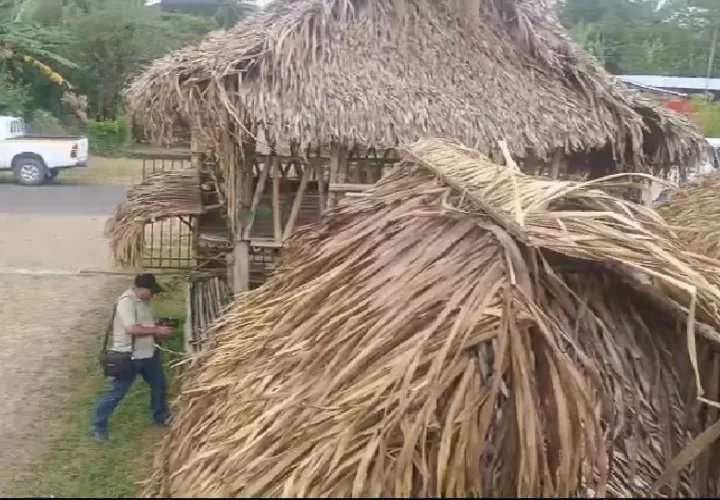 La construcción de los ranchos, confeccionados por los propios productores, supera el 90% de avance.