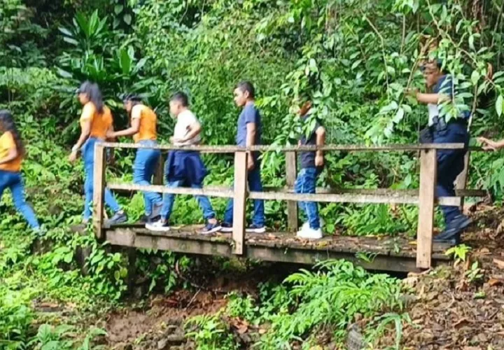 En época de verano estas excursiones  son aprovechadas por los jóvenes y toda la familia.