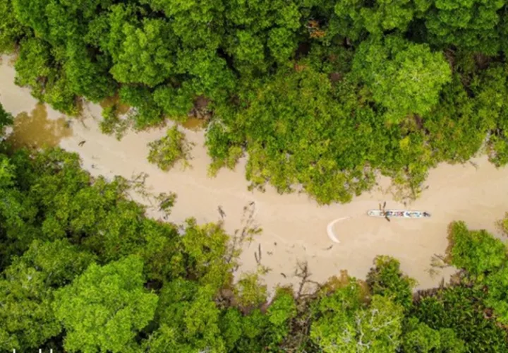 Matusagaratí es el humedal más grande que tiene Panamá. Foto: SAMUEL VALDÉS