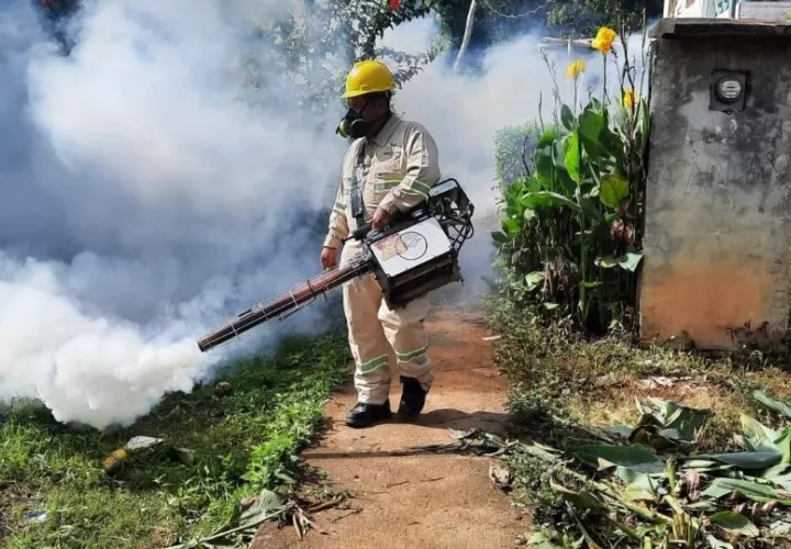 Minsa recomienda eliminar los criaderos de mosquitos. Foto: Archivo
