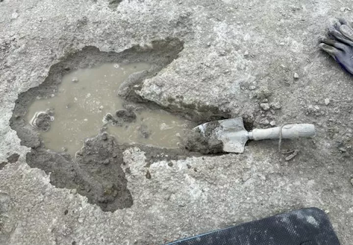 La excavación se llevó a cabo en junio de 2024 en una cantera de Oxfordshire.