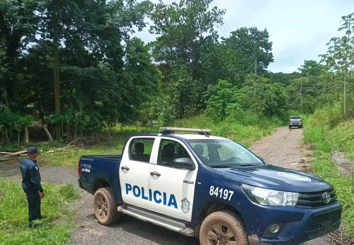 El trágico incidente ocurrió cuando podaba unos árboles en el sector playa Reina. Foto: Diómedes Sánchez 