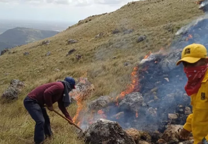 Se informó que este Incendio de Masa Vegetal acabó con más de 1,050 hectáreas de la Reserva Hídirca de Cerro Guacamaya. Foto. Cortesía.