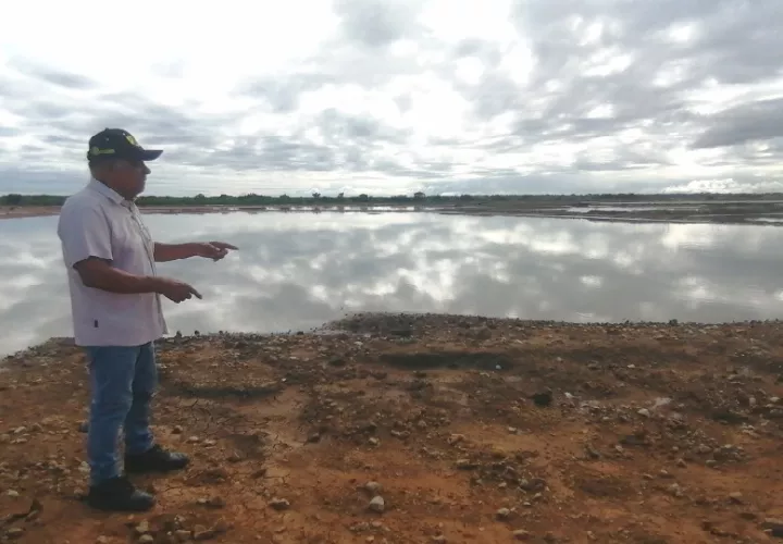 Los productores aseguraron que no existe un riesgo inmediato de desabastecimiento, ya que cuentan con reservas de sal para cubrir la demanda durante los próximos meses.  Foto. Thays Domínguez