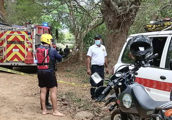 nuevo1-incendios-vegetales.jpg_easy-resize.com_.jpg