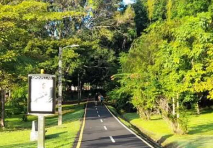 Parque Recreativo Omar. 