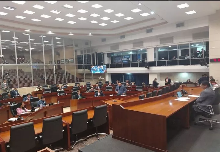Pleno de la Asamblea Nacional. Foto: Cortesía