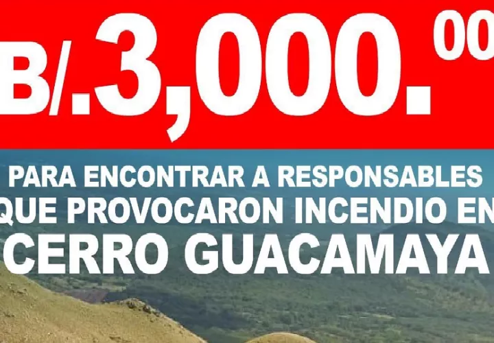 Se puede informar en las redes sociales, la página web oficial de la institución, la Línea 311 y en las oficinas regionales de MiAmbiente. Foto. MiAmbiente