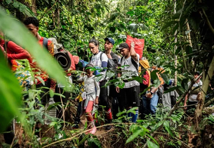 La selva de Darién se ha convertido en uno de los pasos de migrantes más peligrosos del mundo.