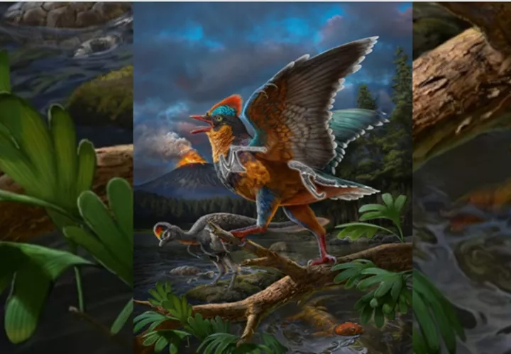 Reconstrucción de la vida del ave jurásica Baminornis zhenghensis de la fauna de Zhenghe. Foto: EFE