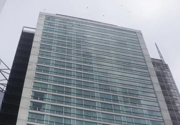 Los migrantes permanecen en un hotel de la ciudad capital. Foto: EFE